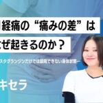 月経痛の“痛みの差”はなぜ起きるのか　―プロスタグランジンだけでは説明できない身体状態―