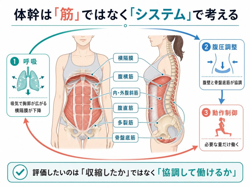 産前産後 体幹運動療法②