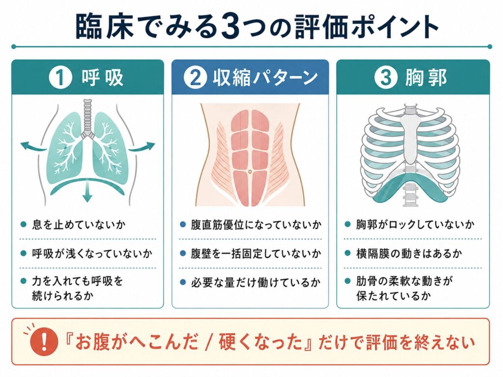 産前産後 体幹運動療法③