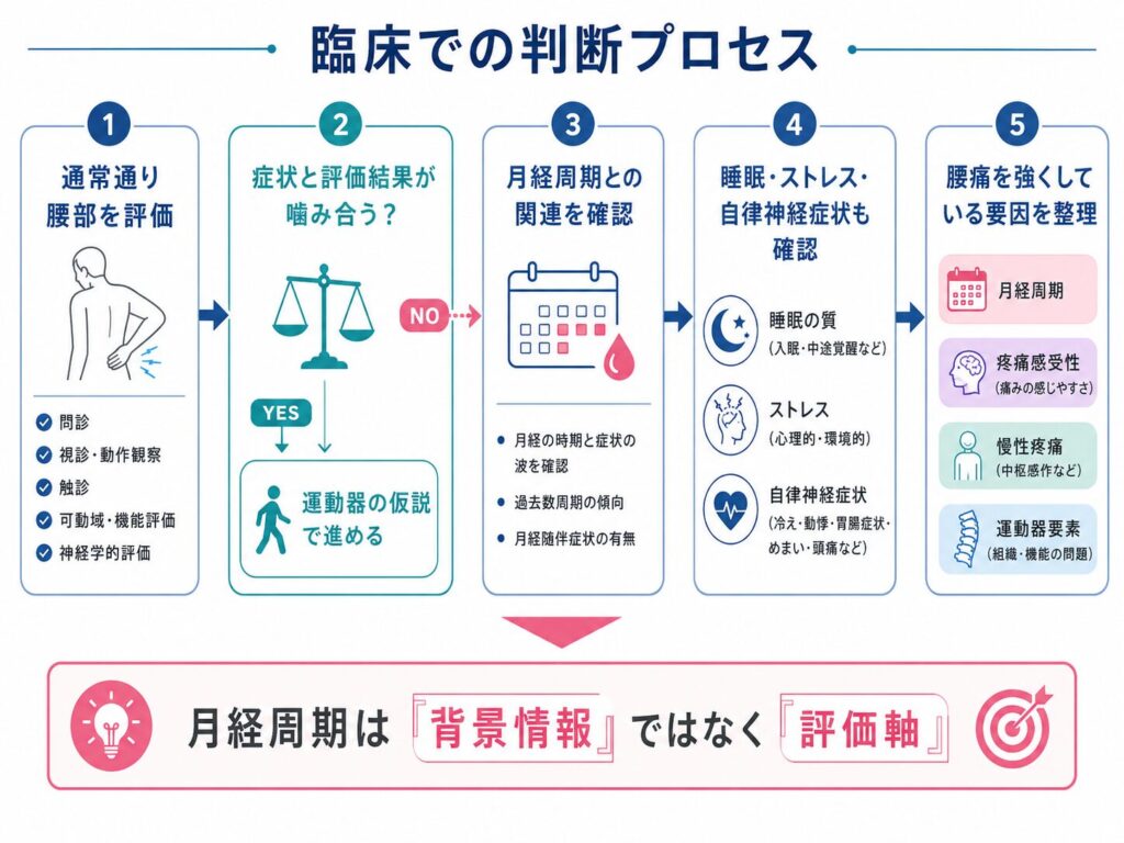 月経周期は背景情報ではなく時間軸